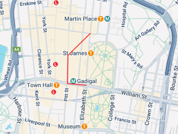 Image depicting the use of the polygon tool